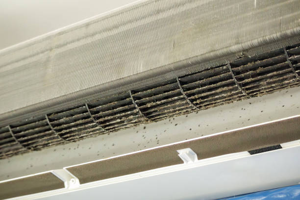 Best Air Duct Cleaning Near Me in Kirkland, WA